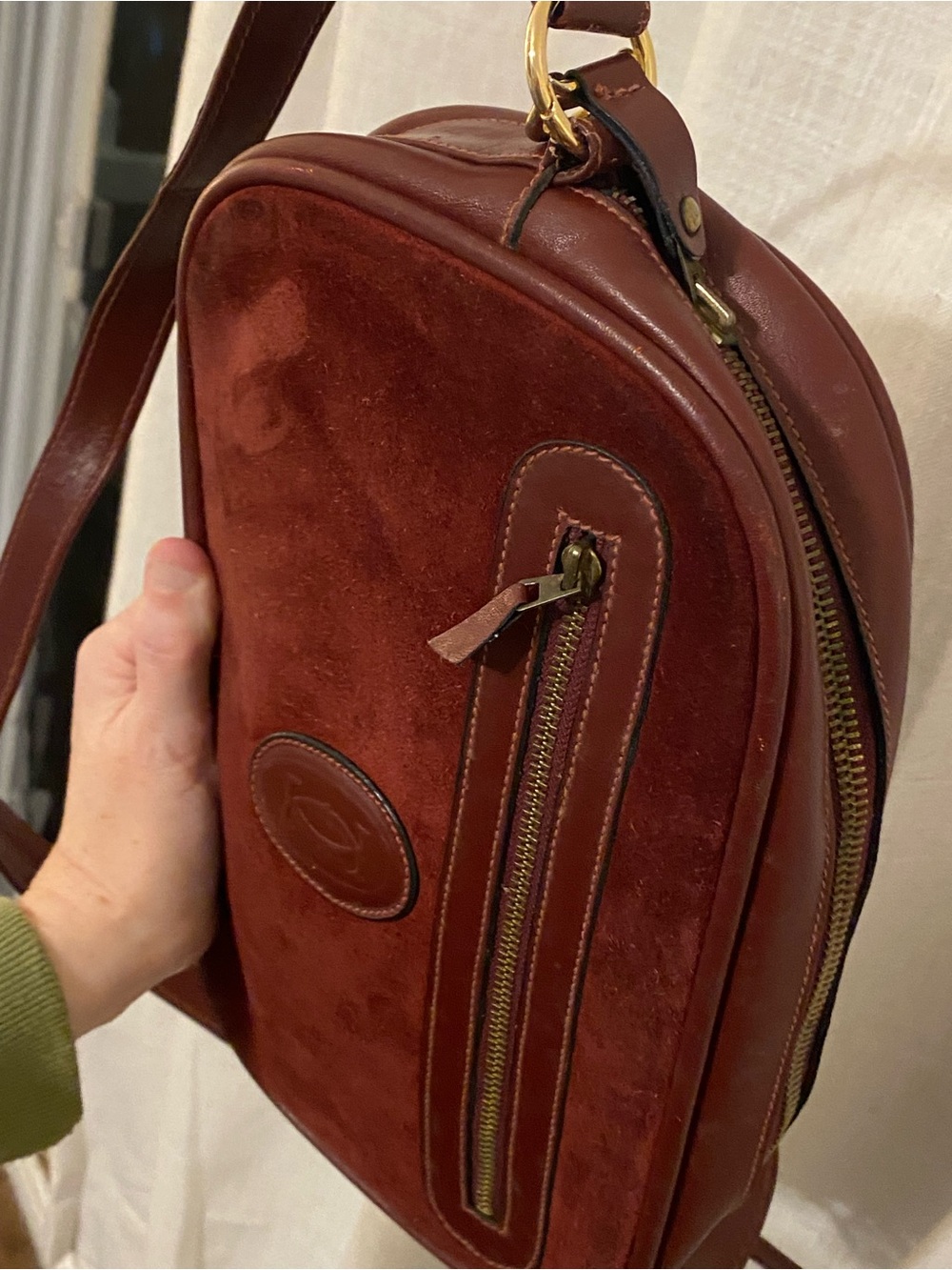 Cartier Rescued - Picture 6 of 7